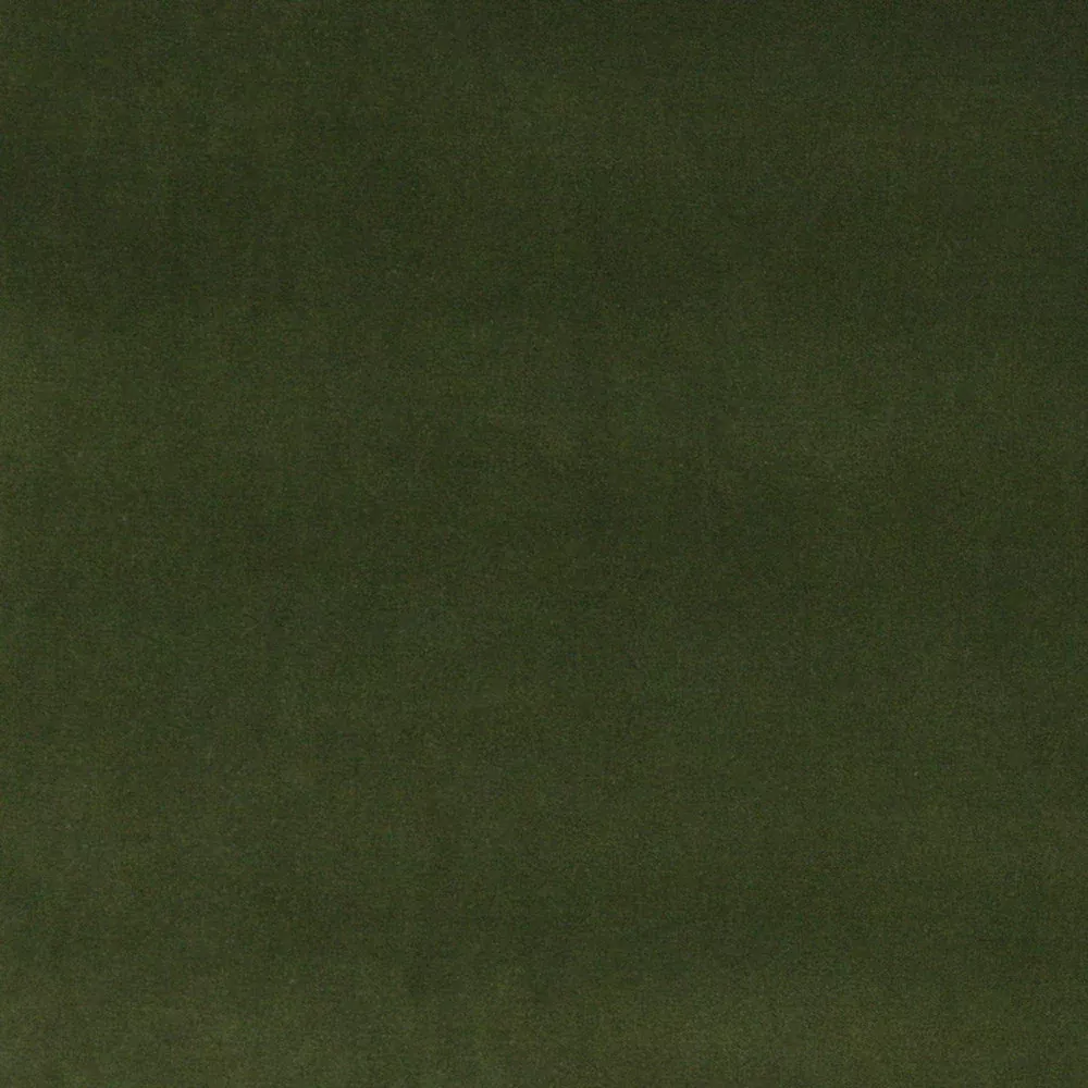 10000-07 by Charlotte Designer Fabric