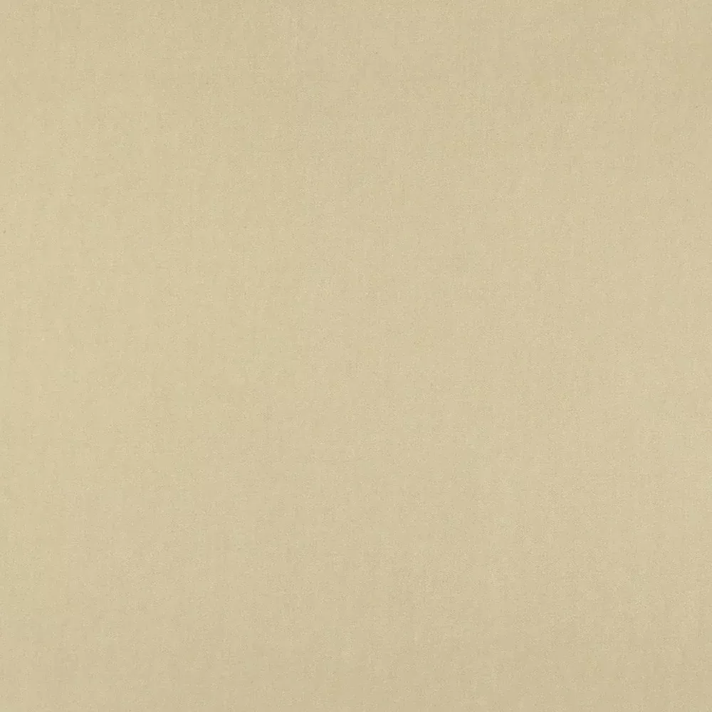10000-16 by Charlotte Designer Fabric