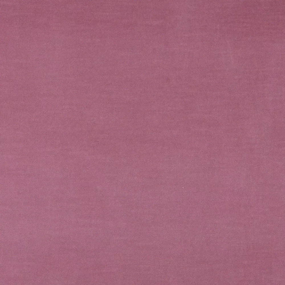 10001-02 by Charlotte Designer Fabric