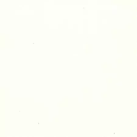 108in Wide 100% Cotton 2 Ply Flannel-Natural by Oasis Fabrics-10805N