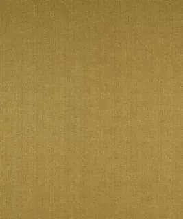 Barrow Fabric Advocate Camel M7286