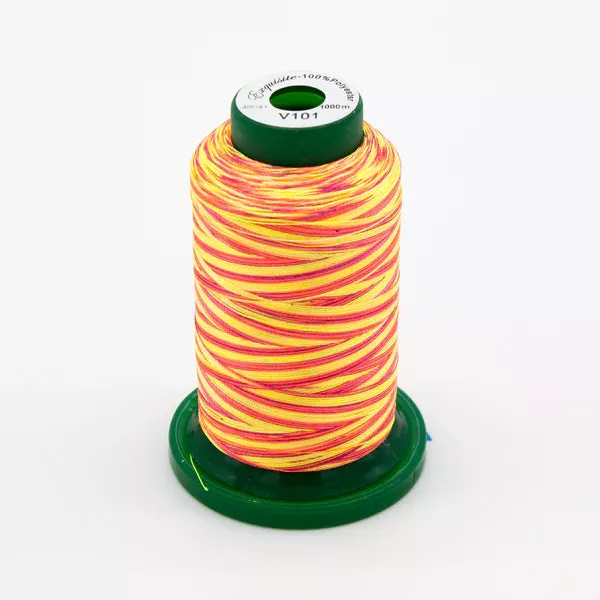 Exquisite Medley Variegated Thread - Sunset 1000M V101