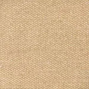 Zenith Champagne 11 by Norbar Fabric