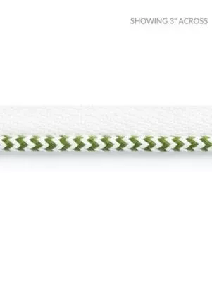 Zig Zag Cord Palm SCC3130004 by Scalamandre Designer Trim